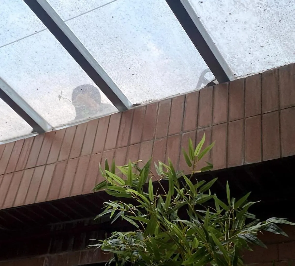 Apartamento #Private Hanok #Korea University Station #3Rooms #Barbecue #Rooftop Sunbed Seul